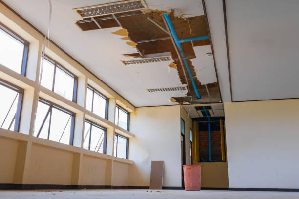 Best Flood damage cleanup  in St Petersburg, FL