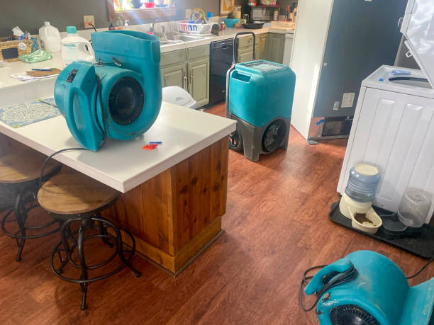 Trusted St Petersburg, FL Water damage restoration Experts