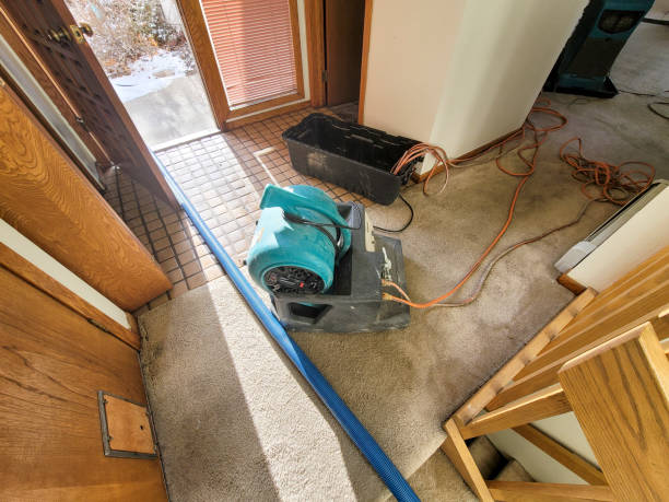 Best 24-hour water damage restoration  in St Petersburg, FL