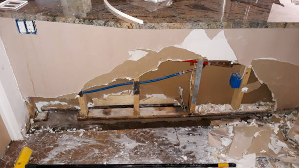 Best Mold removal after water damage  in St Petersburg, FL