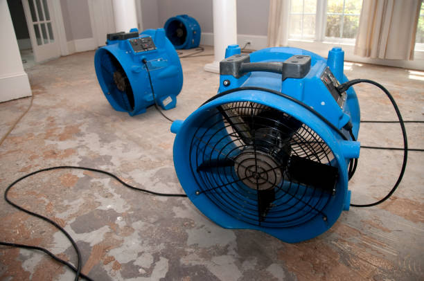 Best Sewage cleanup and water damage restoration  in St Petersburg, FL
