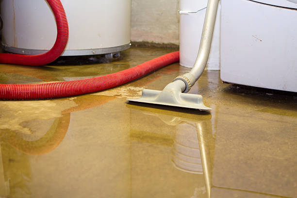 Water damage restoration mold remediation in St Petersburg, FL