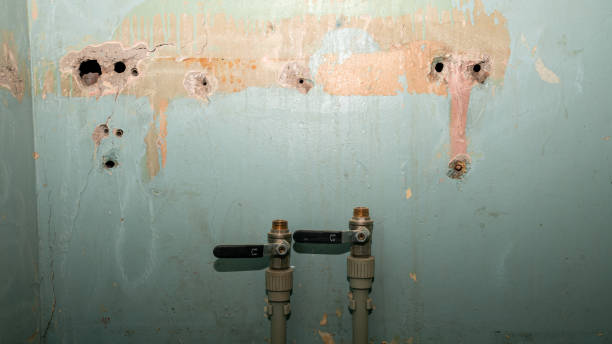 Trusted St Petersburg, FL Water damage restoration Experts