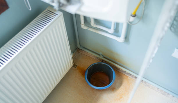 Best Carpet water damage restoration  in St Petersburg, FL