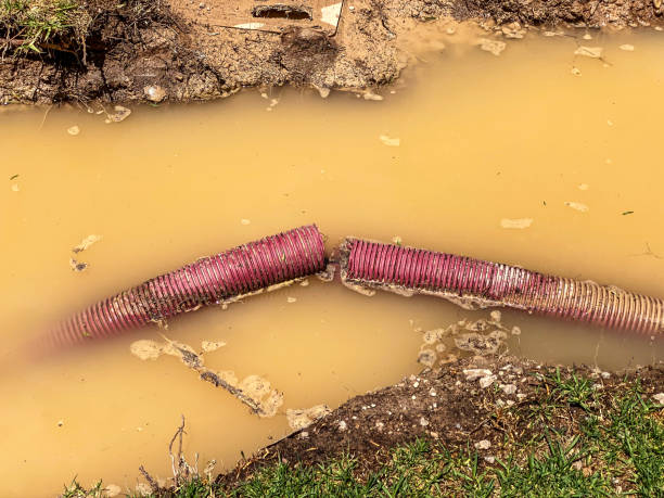 Best Water damage restoration specialists  in St Petersburg, FL