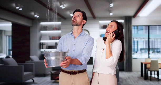 Water damage restoration experts in St Petersburg, FL